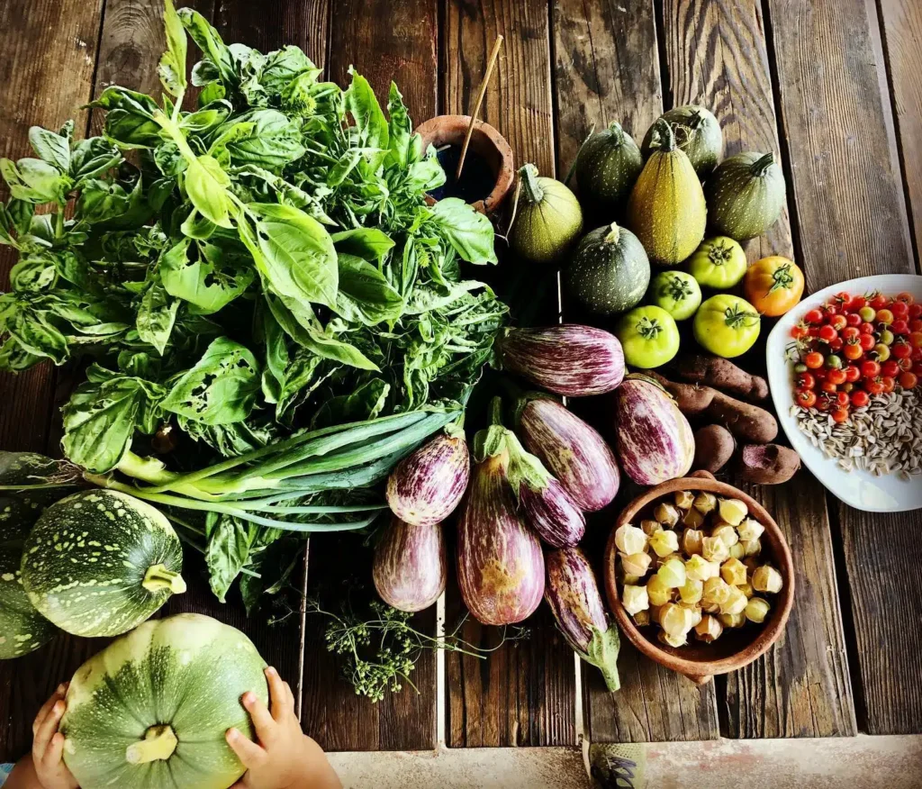 Fresh vegetables, herbs, berries, and other produce harvested at a local farm before being prepared as part of a farm-to-table meal during the Students Shoulder to Shoulder experience.